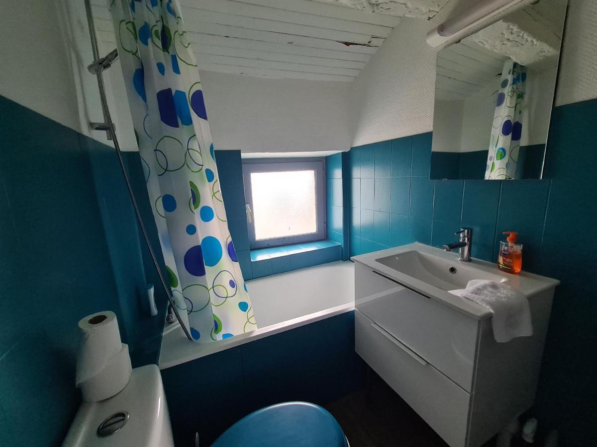 Les Cosy De Nancy - Le Duplex Aux Flammants Roses - 4Etoiles Apartman Kültér fotó