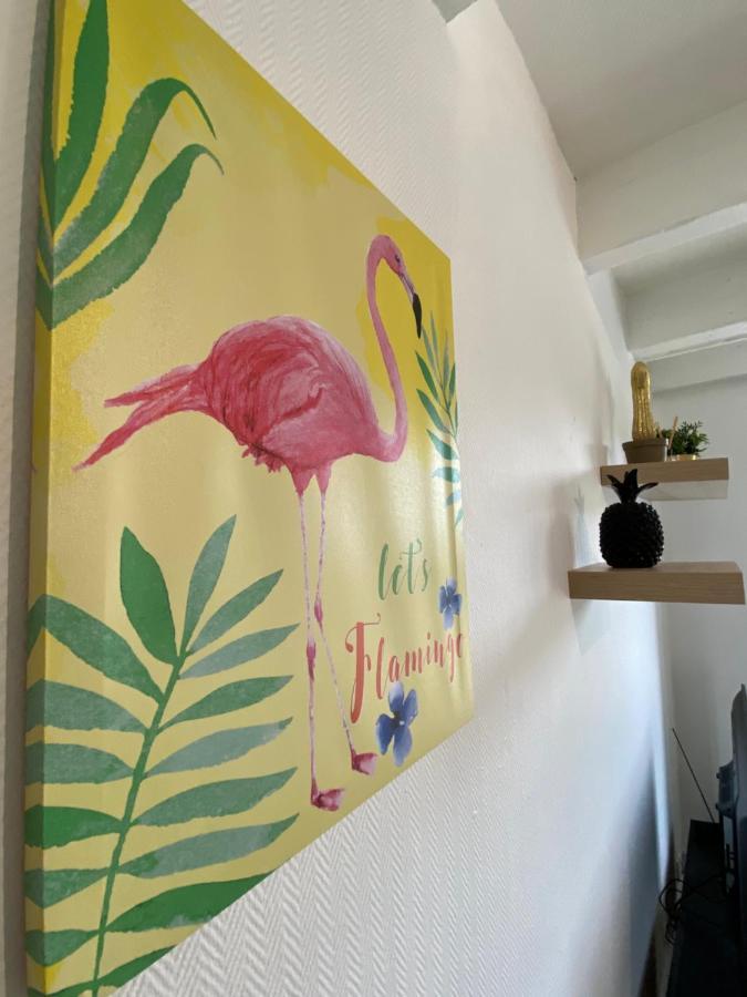 Les Cosy De Nancy - Le Duplex Aux Flammants Roses - 4Etoiles Apartman Kültér fotó